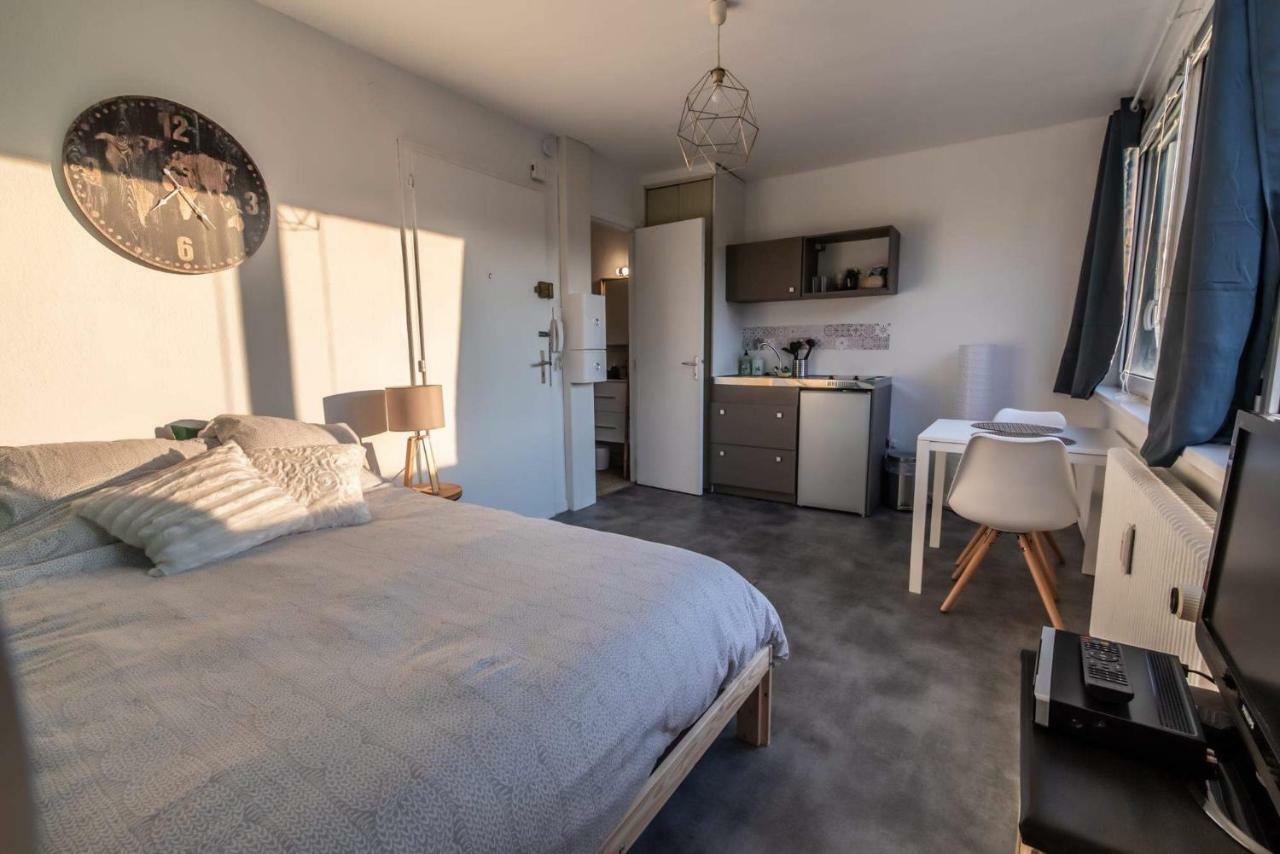 Apartmán Charmant Lumineux Studio Esplanade Štrasburk Exteriér fotografie
